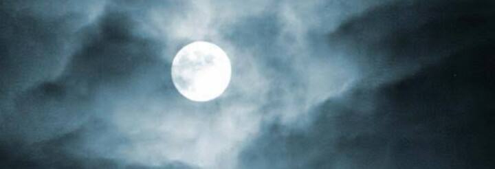 13092002_10153510187976837_821568076504853859_n